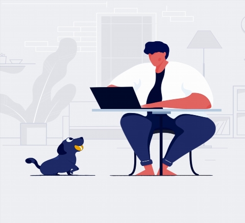 Hangi web sitesi oluşturucuyu seçmelisiniz?
